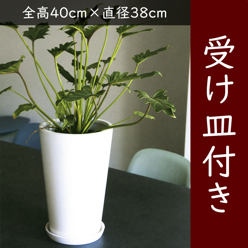 クーポン券