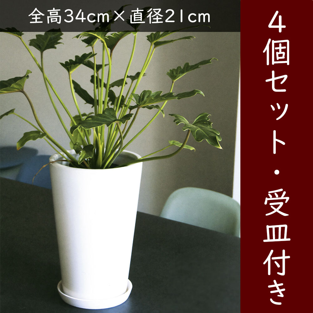 クーポン券 花・ガーデン・DIY-植木鉢