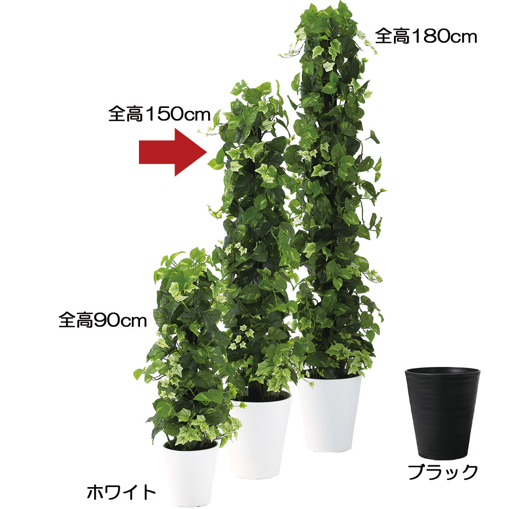 観葉植物 ヘゴ支柱, ヘゴの育て方 支柱 – MHXXYH