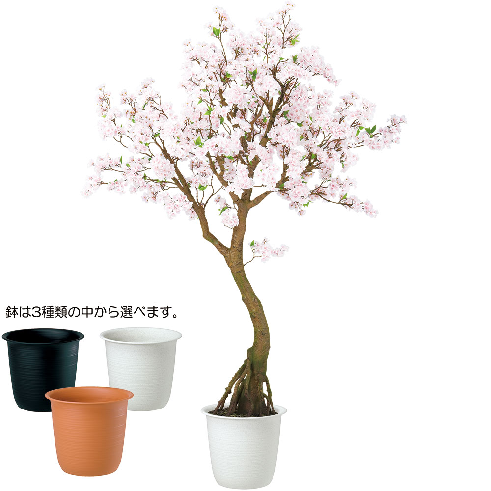 日本製/今治産 人工観葉植物 フェイクグリーン 150-160cm オリーブ 実