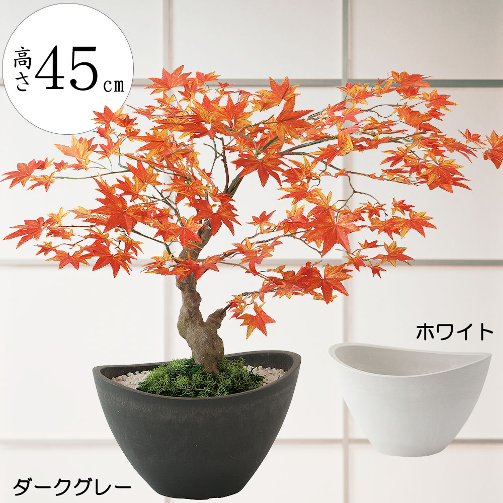 盆栽 モミジ 紅葉 もみじ フェイクグリーン おしゃれ 人気 造花 リアル インテリアグリーン 観葉植物 人工観葉植物 インテリア オブジェ 人工樹木 アートグリーン 和風モダン bonsai ギフト プレゼント イベント お洒落 卓上 テーブル 式典 祭典 祝賀会 お祝い 長寿 全高45cm|グリーンランド