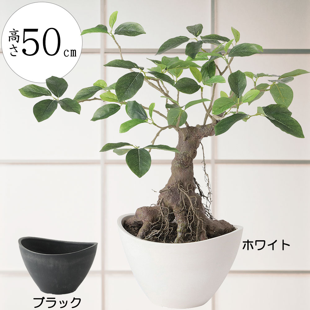 楽天市場】ガジュマルセラミックポット(F311) ニトリ 【玄関先迄