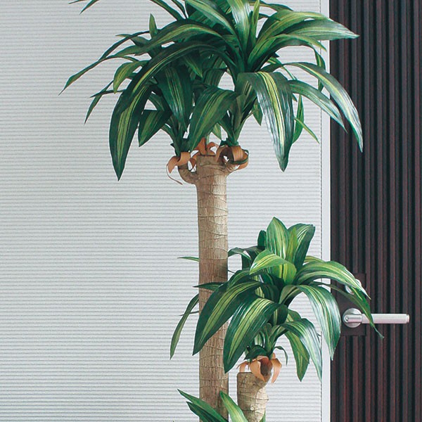 楽天市場 人工観葉植物 全高1 7m 幸福の木 ドラセナ マッサンゲアナ 人工樹木 造花 フェイクグリーン インテリアグリーン オブジェ ディスプレイ 装飾 グリーンランド