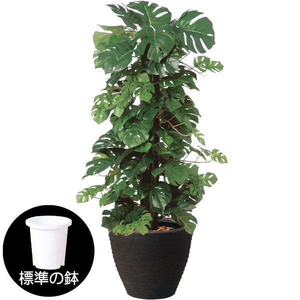 楽天市場 人工観葉植物 全高90cm ヒメモンステラ ヘゴ ホウライショウ 鳳来蕉 人工樹木 造花 フェイクグリーン インテリアグリーン オブジェ ディスプレイ 装飾 グリーンランド