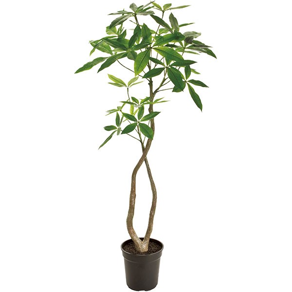 楽天市場 人工観葉植物 全高1 2m パキラ 幸運の木 人工樹木 造花 フェイクグリーン インテリアグリーン オブジェ ディスプレー ディスプレイ 装飾 グリーンランド
