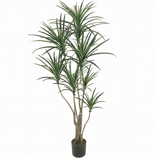 装飾 グリーンランド ほかのグリーンにはない個性をもつドラセナ ユッカの人工観葉植物 エレファンティペス ディスプレイ ドラセナ 青年の木 人工観葉植物 全高1 3m フェイクグリーン ディスプレイ 造花 オブジェ リーフ ユッカ インテリアグリーン 造花 人工樹木 全高1 3m