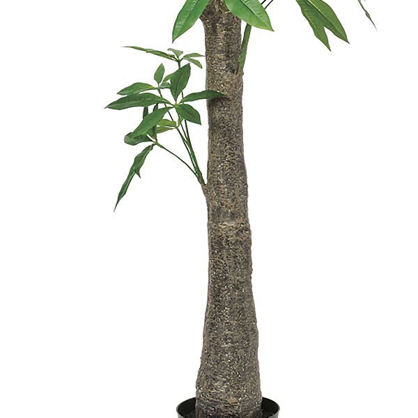 全ての 人工観葉植物 全高1 5m パキラ アクアティカ カイエンナッツ 発財樹 幸運の木 人工樹木 造花 フェイクグリーン インテリアグリーン オブジェ ディスプレー ディスプレイ 装飾 配送員設置送料無料 Sicemingenieros Com