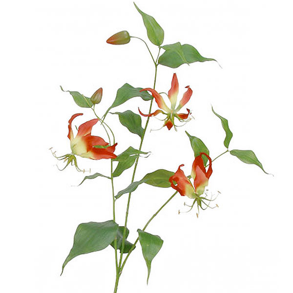 楽天市場 造花 グロリオサ 全長90cm 3本セット グロリオーサリリー 狐百合 百合車 人工観葉植物 アーティフィシャルフラワー 花材 フラワーアレンジメント ディスプレイ 装飾 会場装花 グリーンランド