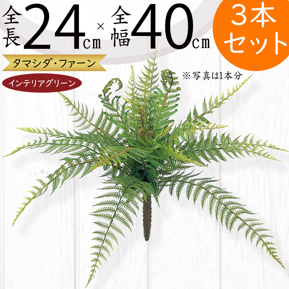 楽天市場】タマシダ フェイクグリーン おしゃれ インテリアグリーン