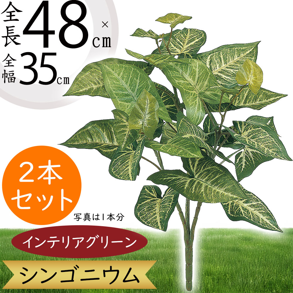 楽天市場】セダム 多肉植物 フェイクグリーン おしゃれ インテリア