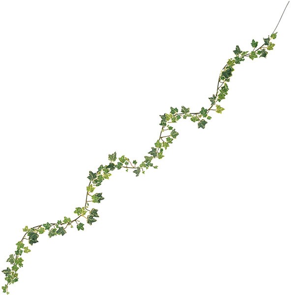 楽天市場 人工観葉植物 アイビー ガーランド 全長1 8m 2本セット ツタ つた 蔦 ヘデラ ヘリックス セイヨウキヅタ 造花 リーフ グリーン材 葉材 花材 フラワーアレンジメント ディスプレイ 装飾 グリーンランド