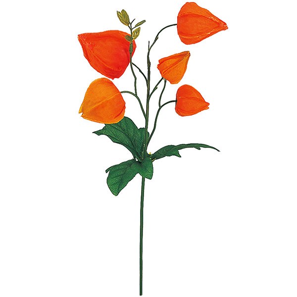 楽天市場 造花 ホオズキ ピック 全長25cm 9本セット 1束3本 3束 ほおずき 鬼灯 人工観葉植物 アーティフィシャルフラワー 花材 フラワーアレンジメント ディスプレイ 装飾 お盆飾り グリーンランド