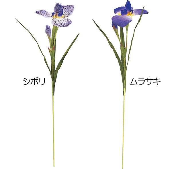 楽天市場 アヤメ 造花 全長60cm 3本セット あやめ 菖蒲 アーティフィシャルフラワー 花材 アレンジ 和風 グリーンランド