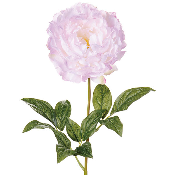 楽天市場 造花 ピオニー 全長78cm 2本セット 芍薬 シャクヤク エビスグサ 人工観葉植物 アーティフィシャルフラワー 花材 フラワーアレンジメント ディスプレイ 装飾 和風演出 グリーンランド