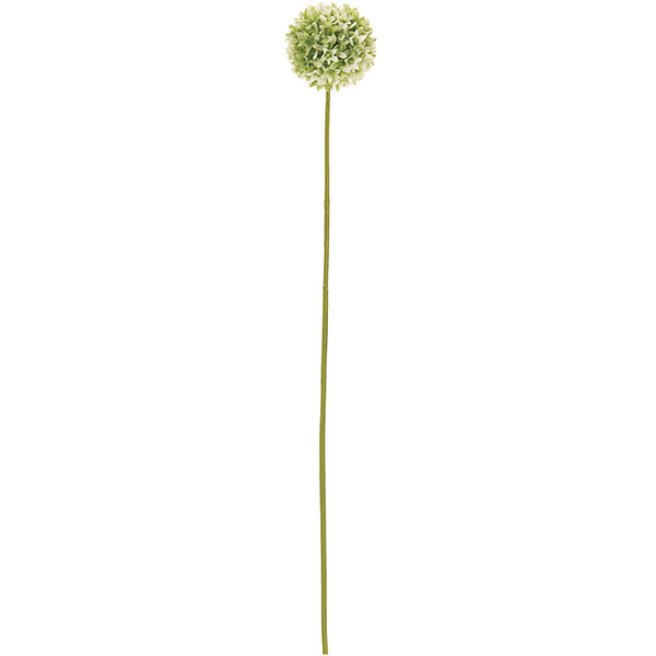 楽天市場 アリウム 造花 全長42cm 6本セット アーティフィシャルフラワー アリューム 人工観葉植物 花材 アレンジメント グリーンランド