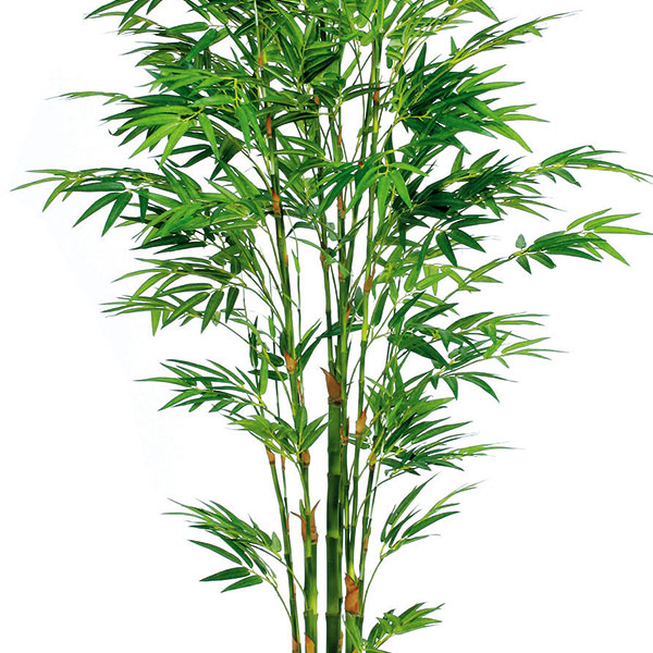 贅沢品-フェイクグリーン 人工観葉植物• ショウナンゴム1.8m •2318a420