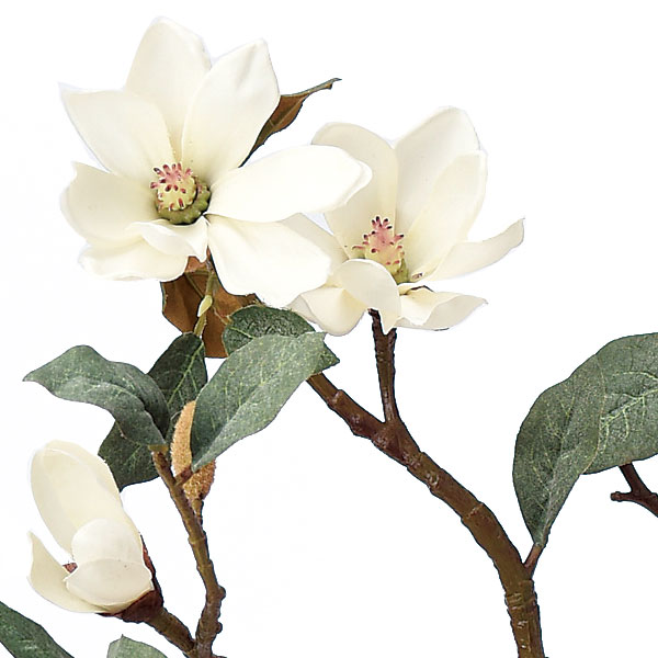 楽天市場 マグノリア 造花 全長95cm 木蓮 モクレン 人工観葉植物 アーティフィシャルフラワー 花材 フラワーアレンジメント ディスプレイ 装飾 和風演出 グリーンランド