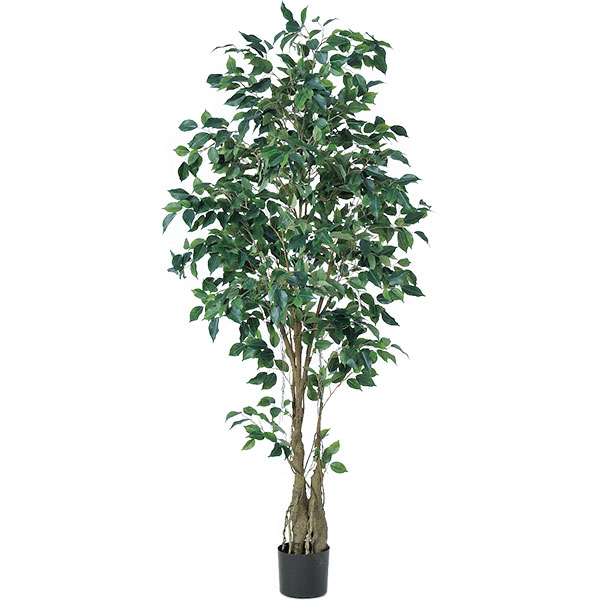 楽天市場 フィカス ベンジャミン 大型 人工観葉植物 全高1 9m 人工樹木 造花 フェイクグリーン インテリアグリーン グリーンランド