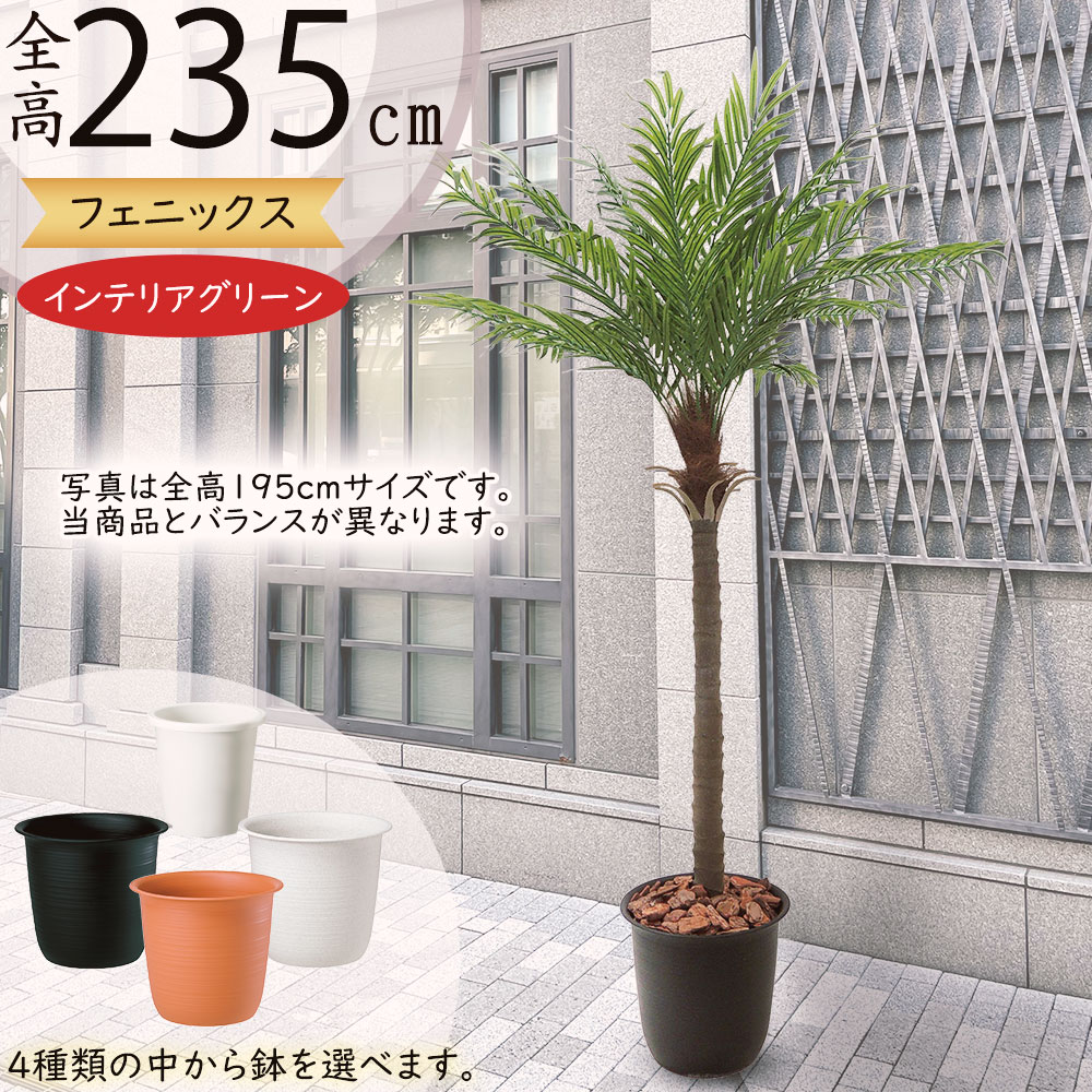 ヤシの木 中型サイズ bst-ct2038-ll-z2.jpg