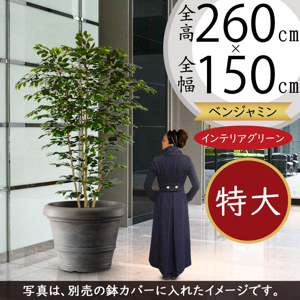 楽天市場】フェイクグリーン 大型 おしゃれ 人気 インテリア 楽天市場】フェイクグリーン 大型 おしゃれ 人気 インテリア