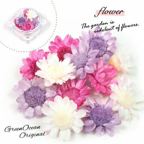 楽天市場 ドライフラワー 12輪 3色ミックス スターフラワー お花畑 小花 プリザーブドフラワー 花材 Flower 紫 ピンク 春 隠れ工房ｇｒｅｅｎｏｃｅａｎ
