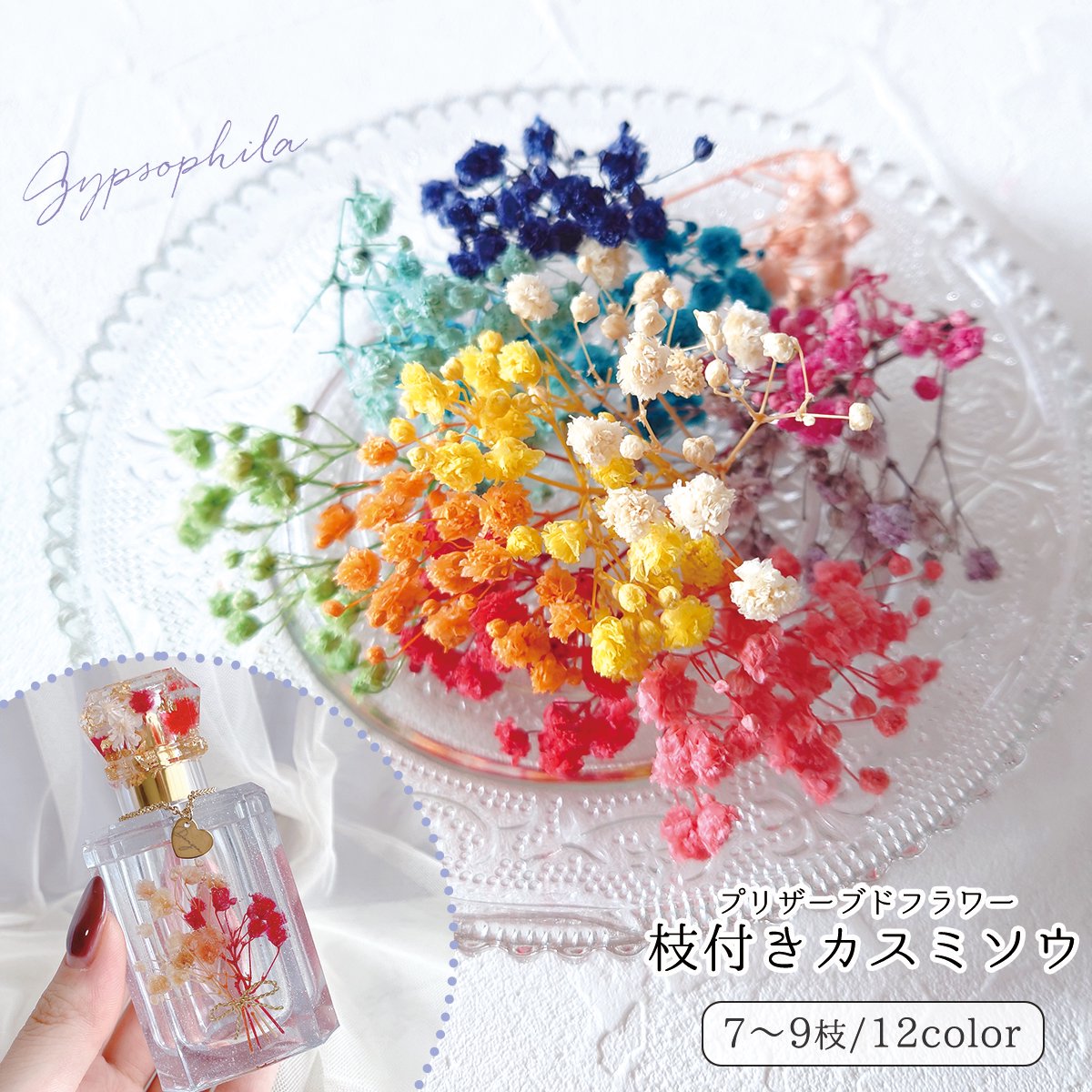 楽天市場】押し花 ドライ プレス フラワー New かすみ草 5本入り