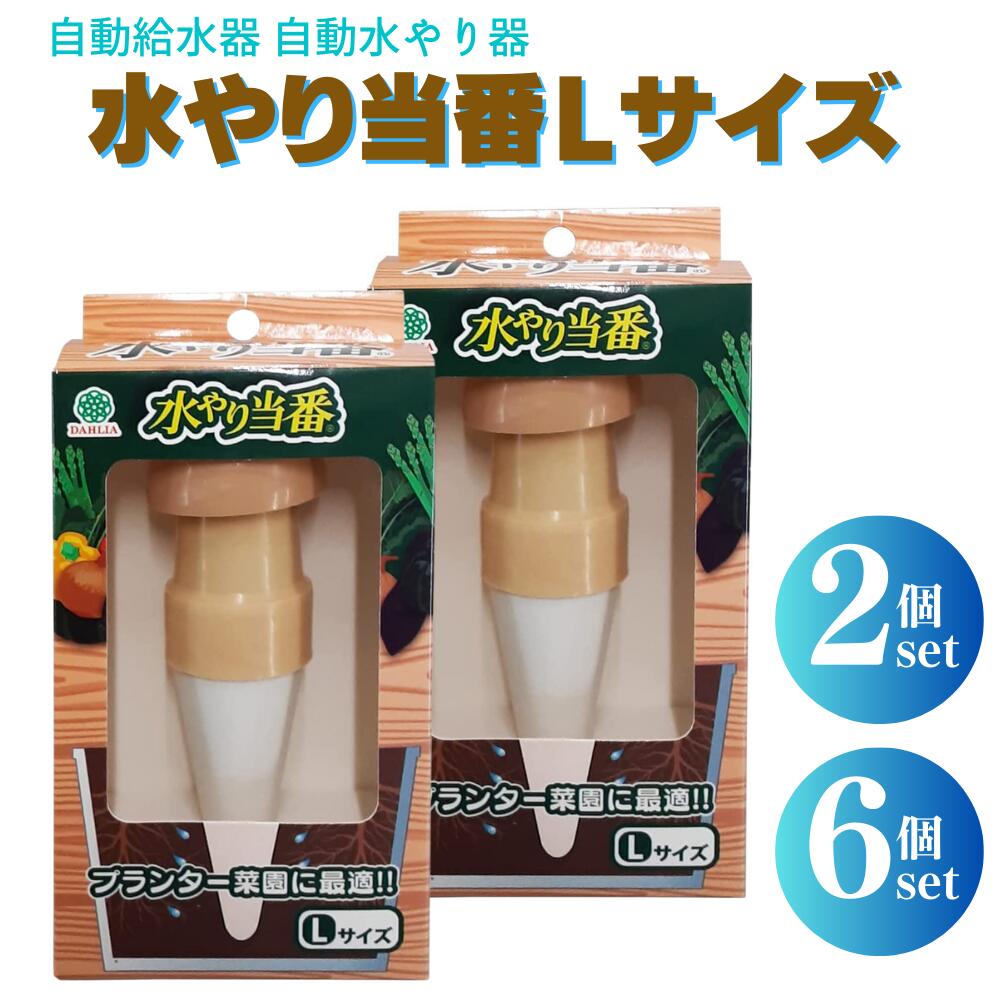 楽天市場】マルハチ産業(Maruhachisangyou) 水やり当番 Lサイズ