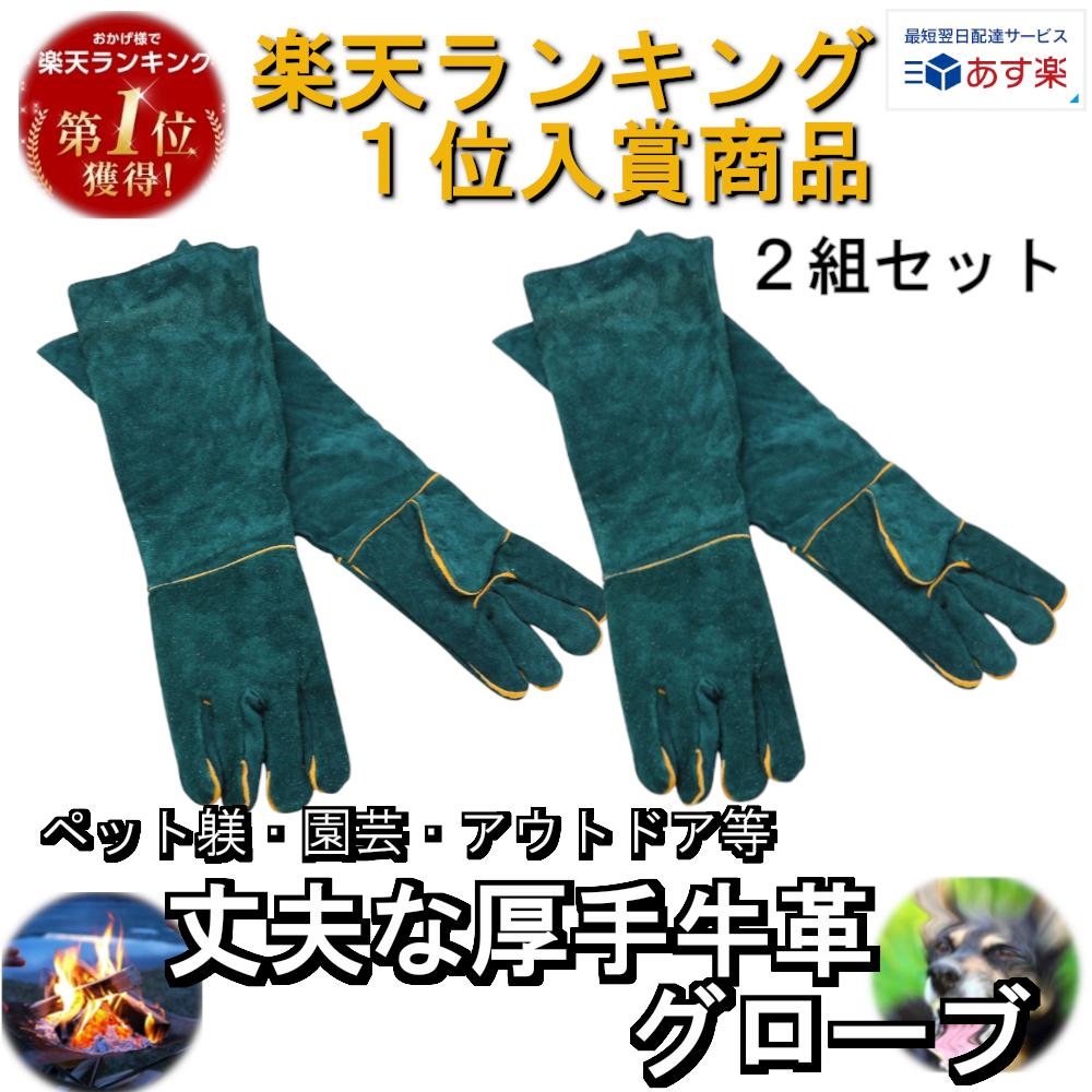 市場 お買い物マラソンクーポン グローブ グリーン 犬 2個セット 手袋 厚手 猫 2倍 ランキング入賞 噛みつき 噛みつき防止 ペットグローブ