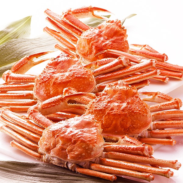 カナダ産ボイルズワイガニ姿・約600g×4尾 冷凍ズワイ蟹 敬老の日 プレゼント