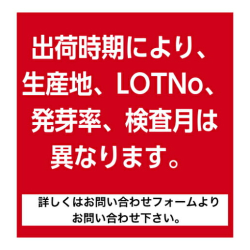 楽天市場 カネコ種苗 ベビーリーフミックス中華風6 7ｍｌ チンゲンサイ 紅菜苔 紹菜 タアサイ 種と苗の店 グリーンサム