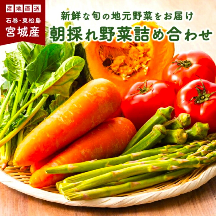 Top【選抜株】23519スパイ　シャッドー 105個 プラグトレー苗 楽天市場】プラグトレー 手植用 黒 3枚セット 野菜・花のタネまき 育苗