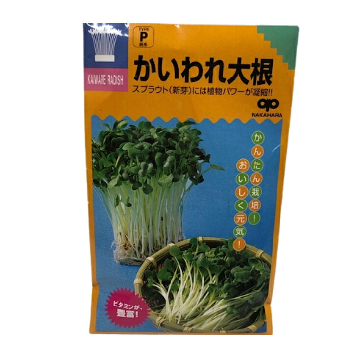 楽天市場】【代引不可】【送料5袋まで80円】 seed たね tane 種 種子