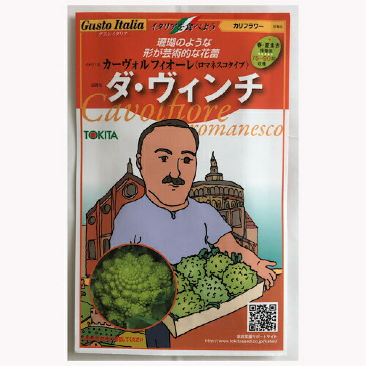 訳あり品送料無料 イタリア野菜 トキタ種苗 ゴルゴ 80粒 その他種、種子