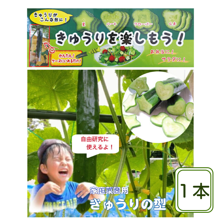 楽天市場】クレバーパイプ自然薯用 135cm ツメナシ : 種と苗の店