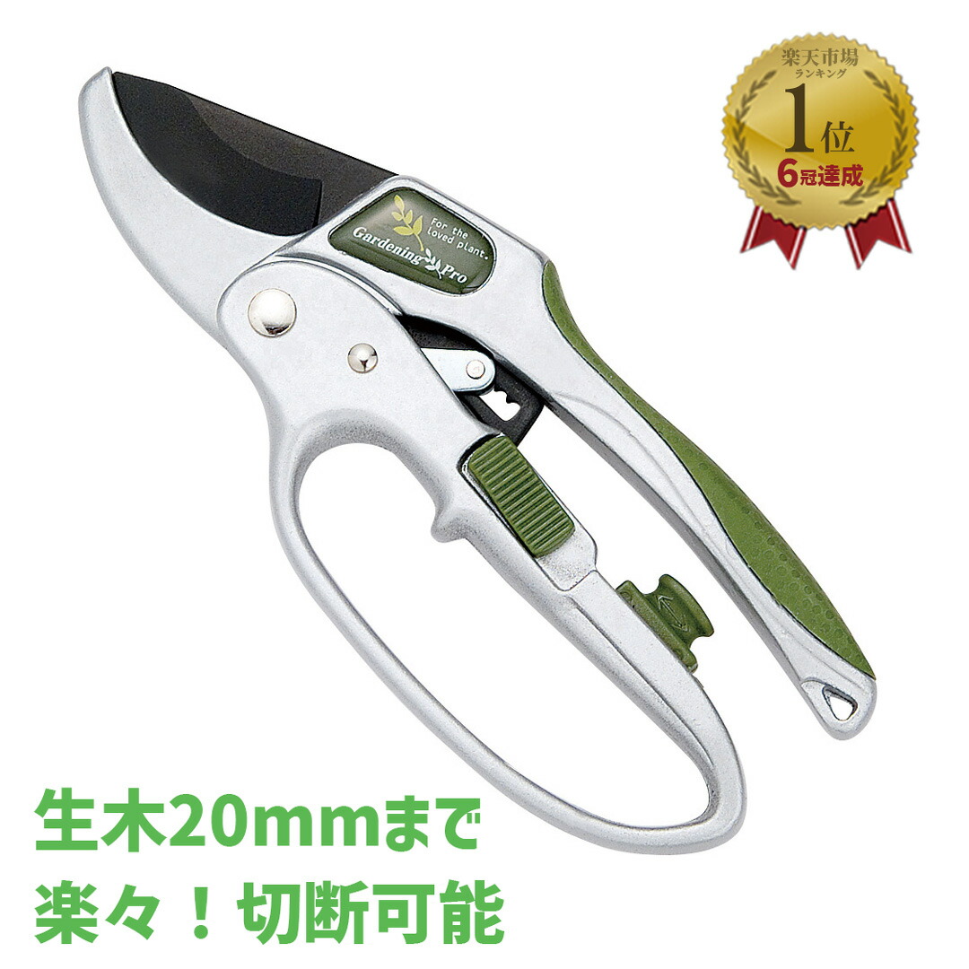 楽天市場】【エントリー必須！全商品がP10倍☆】【メール便