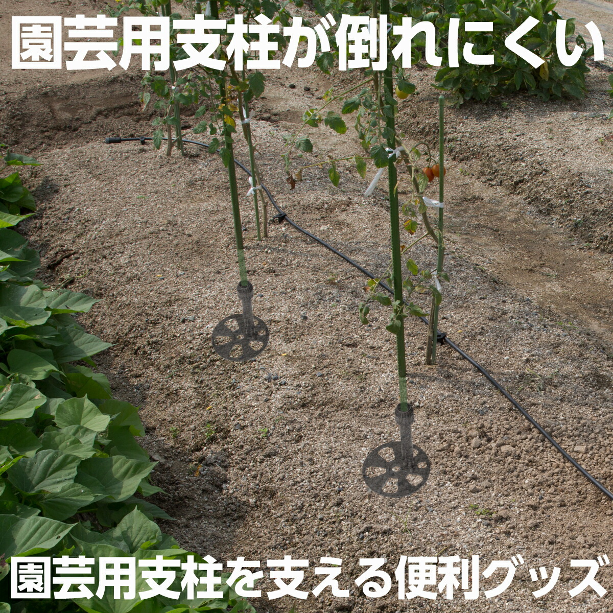 楽天市場 あす楽 タカギ 園芸支柱サポーターl 2個入り Qg265az 園芸支柱がたおれにくい 園芸 家庭菜園 ガーデニング ベランダ Takagi 安心の２年間保証 Green Tools 楽天市場店