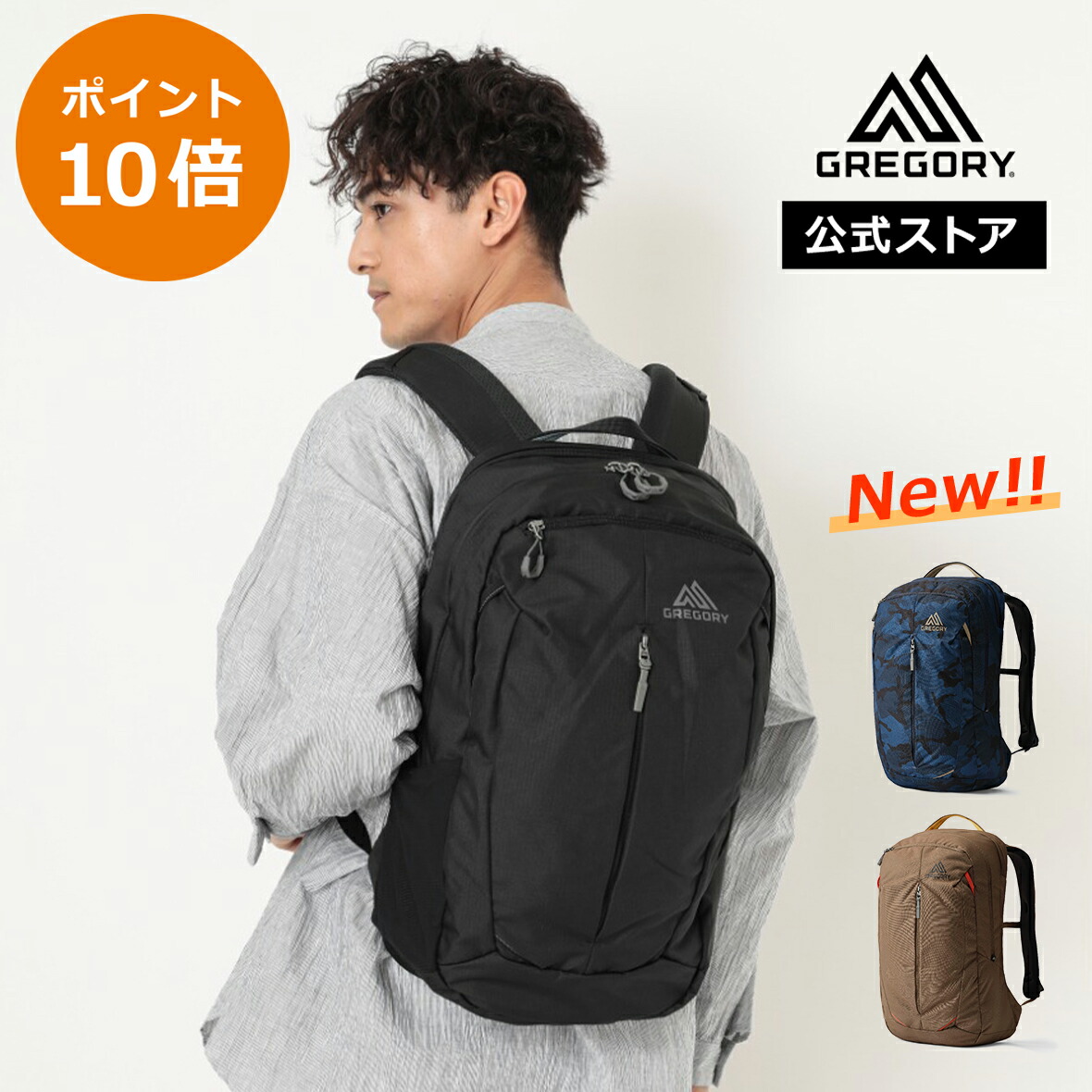 4/20限定★抽選で最大100％Pバック【P10倍｜4/14(火)～20(月)限定】【公式】【最短当日発送可能】 グレゴリー [ レトナ25 RETNA 25 メンズ デイパック(リュックサック) 送料無料 ビジネス PC/タブレット スリーブ 通勤 通学 GREGORY 雑誌掲載 (カーボンブラック) ]
