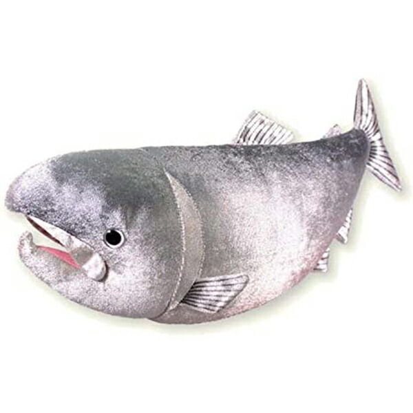 楽天市場 ぶるぶる お魚 ぬいぐるみ 鮭 サケ 音センサー 音感 動く おもちゃ ペット 犬 猫 いぬ ねこ ぶり ブリ ヌイグルミ ギフト プレゼント 雑貨 グッズ かわいい おしゃれ キャラクター アクション サーモン グリングリン