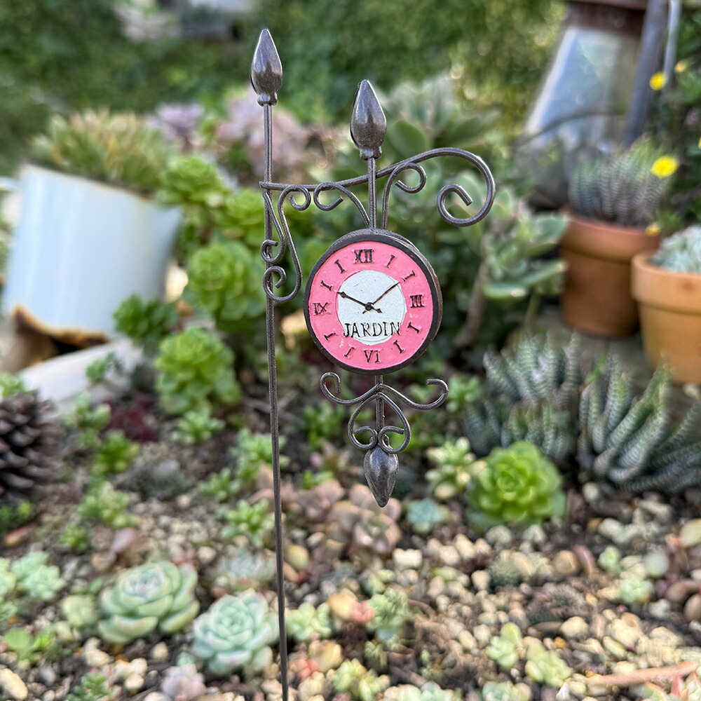 楽天市場】[エントリーでポイント10倍 10/24 20時〜]【送料込