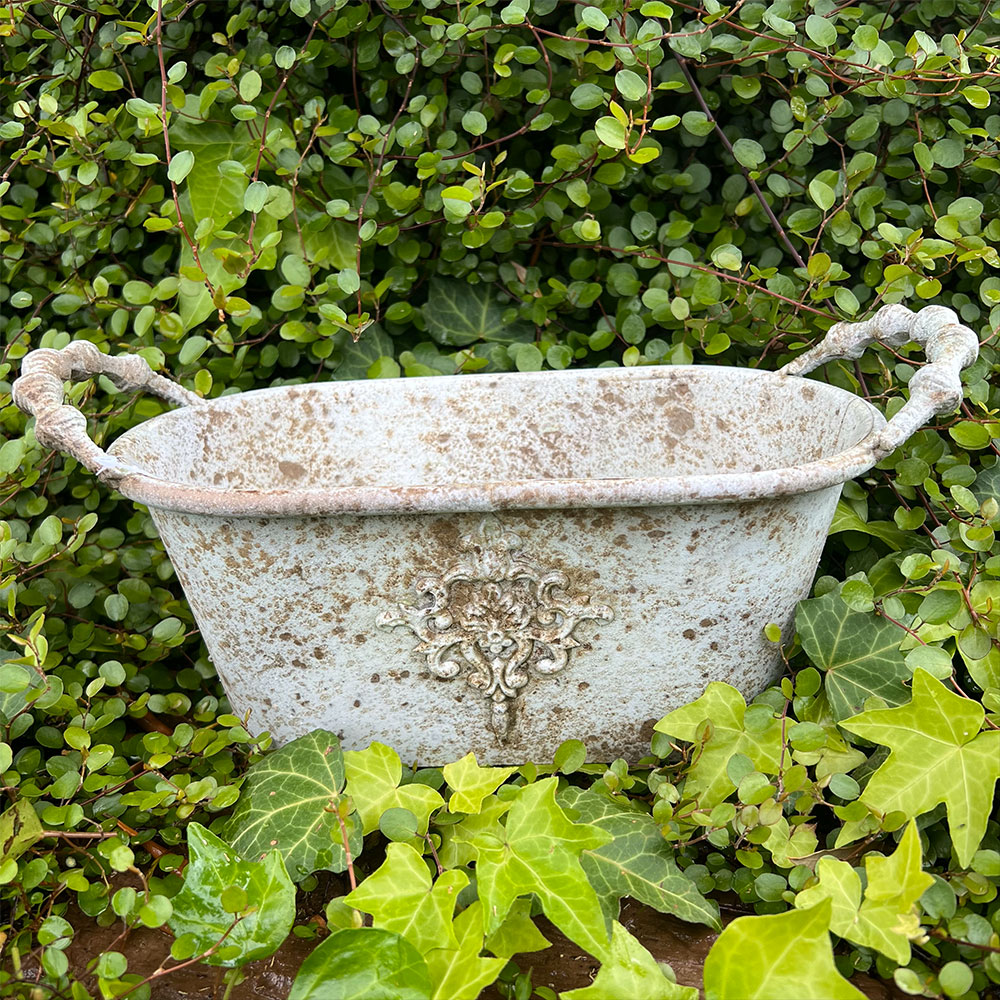 花籠 imgrc0095742727.jpg