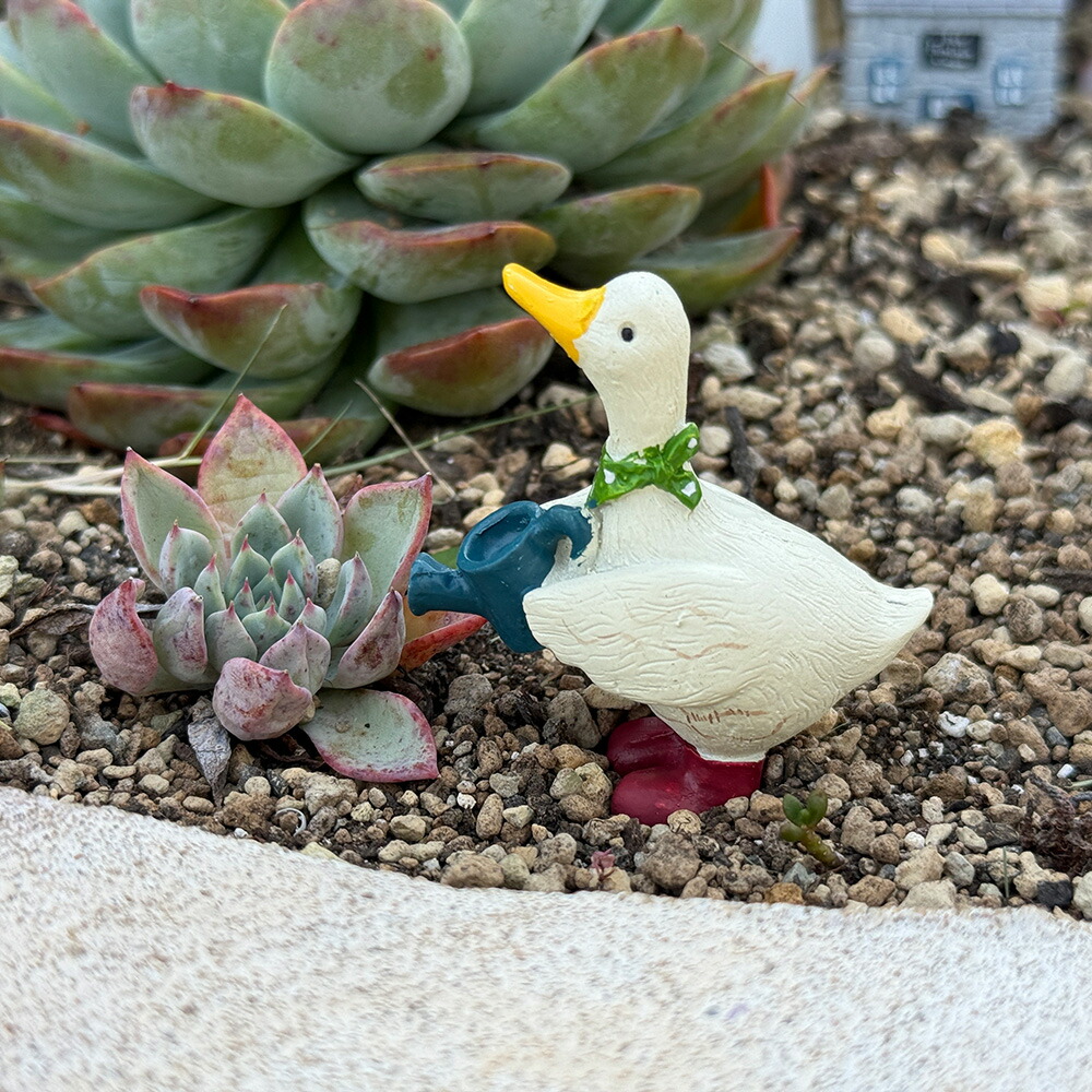 楽天市場】ヴォワヤージピックW ホワイト (5E3868) ガーデンピック