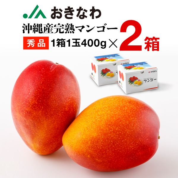 沖縄県産ミニマンゴー10KG☆写真の商品×2箱
