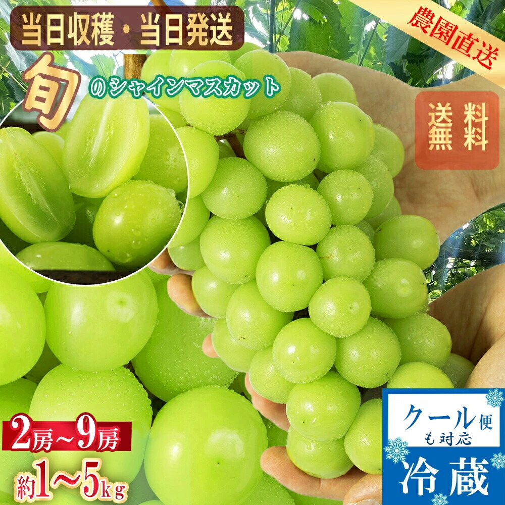 (マスカット様) 赤坂産 大粒・大房ピオーネとシャインマスカット ”晴王” 夢の