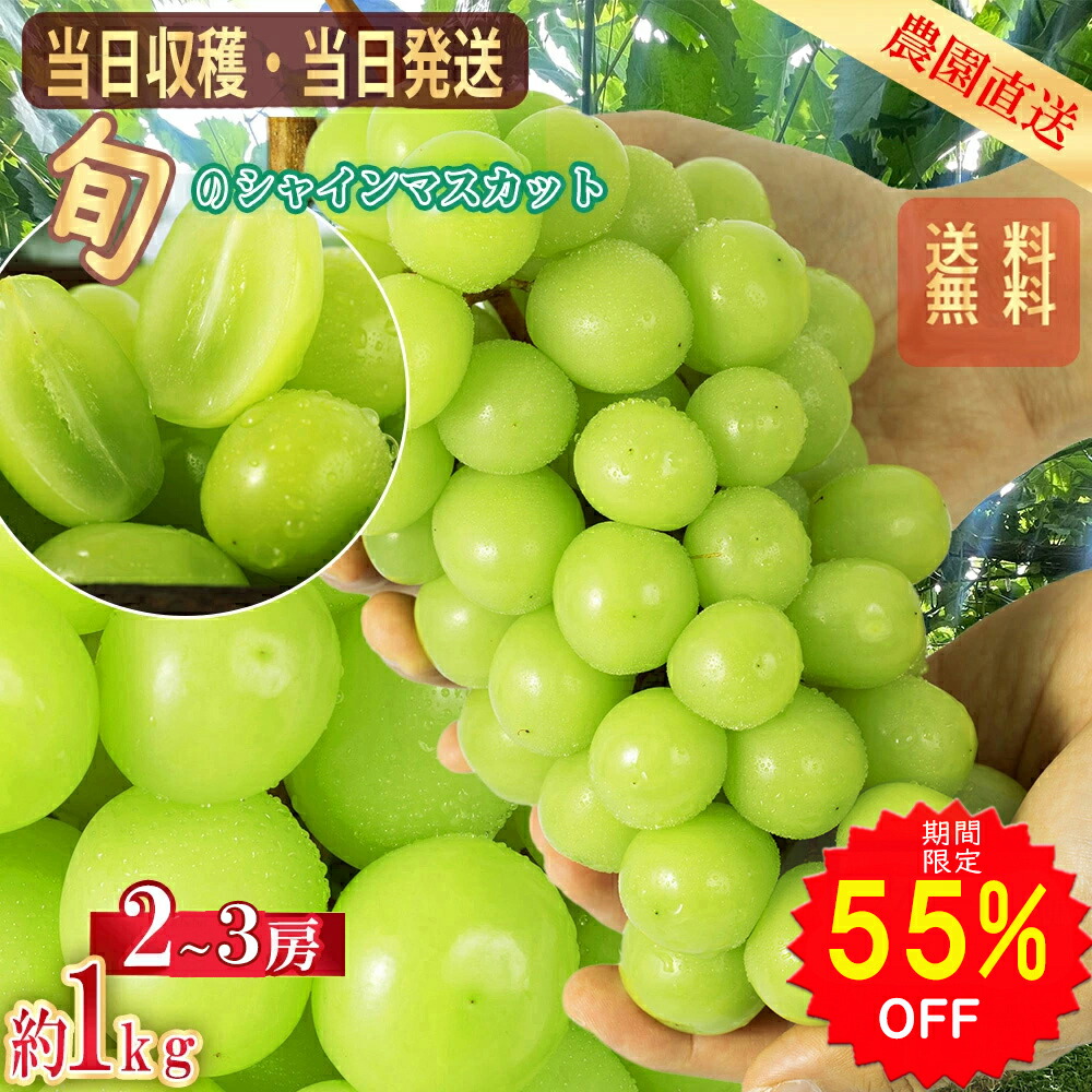 楽天市場】【55%OFFで3815円～ スーパーSALE限定】【2026年分予約販売