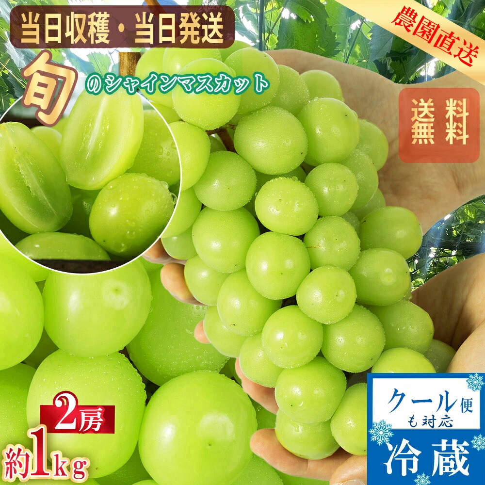 シャインマスカット　粒6k箱込み　クール便　KANA 7987d2a3f4db50c6d5951db032ae24