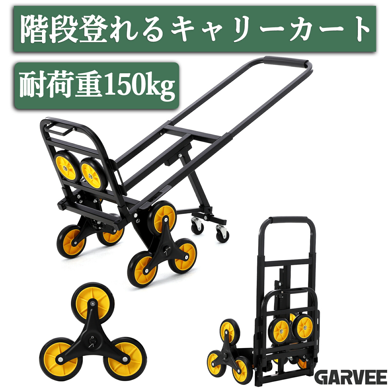 夏の特集