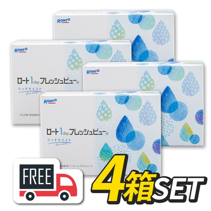 【貨物輸送無料】ロート ワンデーフレッシュビュー リッチモイスト 4箱（1箱90枚入）コンタクトレンズ 1日使い捨て 1day ソフトコンタクトレンズ-コンタクトレンズ・ケア用品