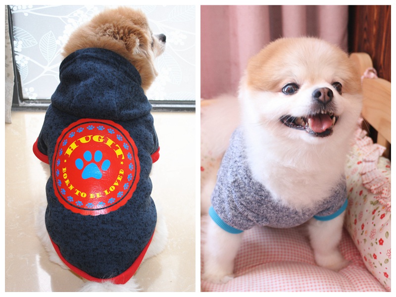 ペット服 ペット雑貨 犬服 猫服 可愛い ペット用品 ネコ雑貨 2色 T Educaps Com Br