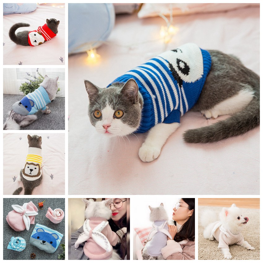 ペット服 ペット雑貨 犬服 猫服 可愛い ペット用品 ネコ雑貨 7色 T Educaps Com Br