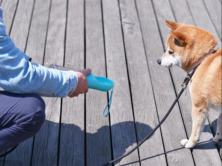 ペット 水飲み 犬 散歩 給水ボトル ペット給水器 携帯用 水筒 ワンタッチ ボトル お出かけ 犬猫用 T Letempslev K7a Com